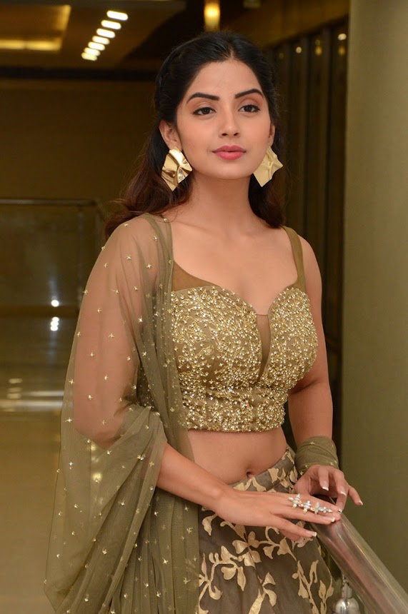 Kashmira Pardeshi at Narthanasala Pre-Release