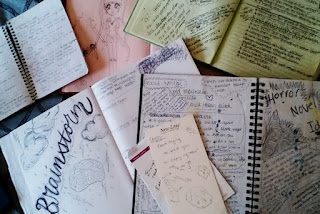 Amy's journals Amy Lukavics's journals