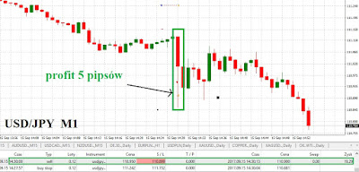 Bankier.pl forex forum