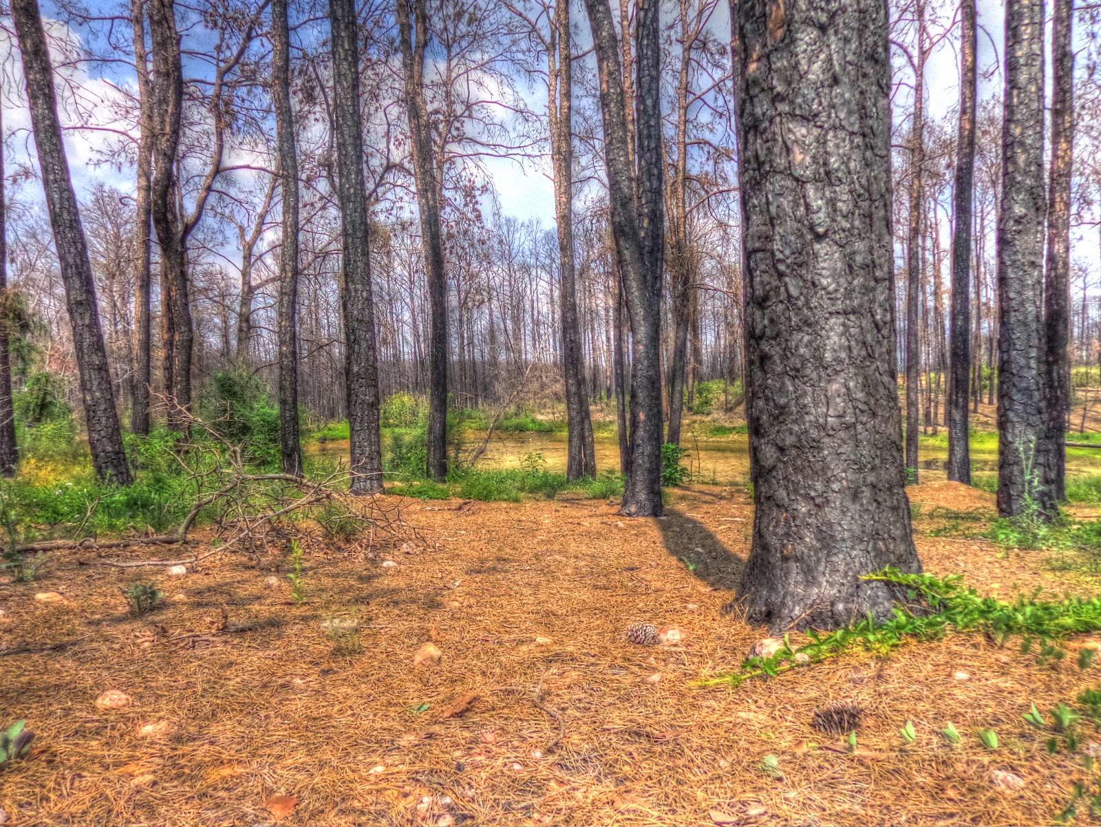 Highly Defined Reality A Daily Photo Blog by Micah Goff Scars of the