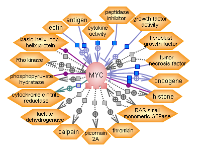 oncogene c-Myc 