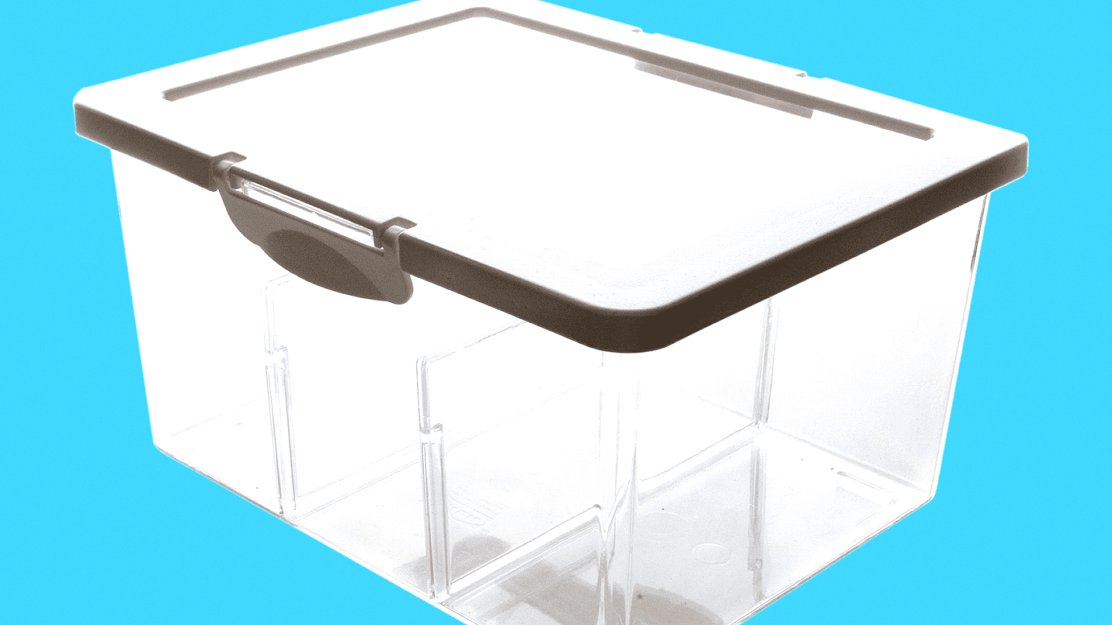 Bearresistant food storage container Box Box Choices