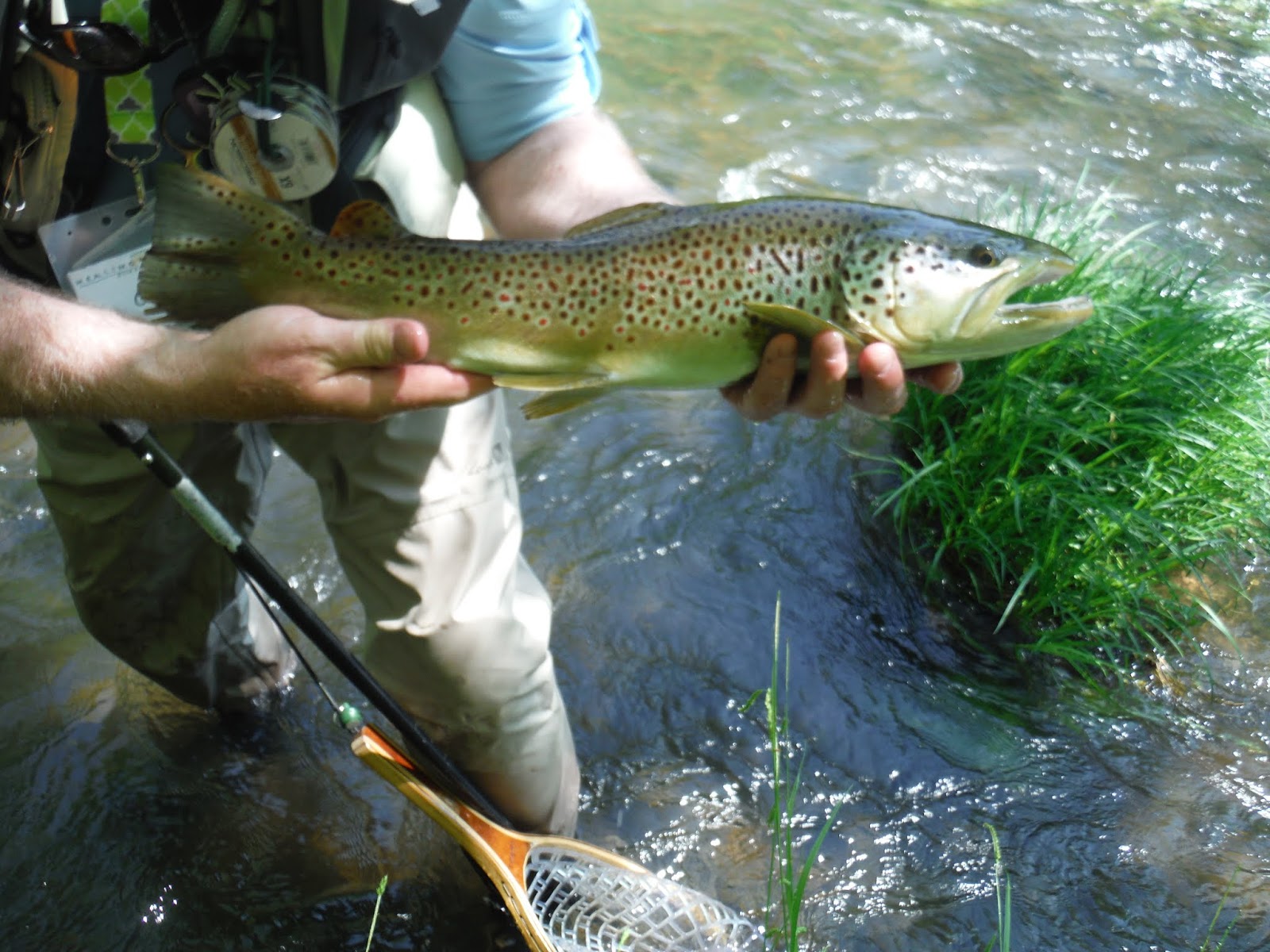Mikey D Fishing Potter County Fishing Report Project Healing Waters