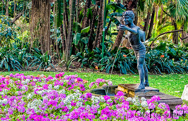 Dad de beber al sediento. Fuente deUn joven con cántaro de agua en el Botánico,Buenos Aires,Argentina