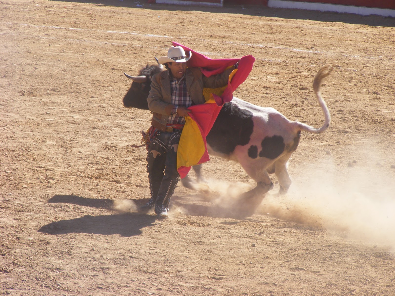 CPA THEME TAUROMACHIE CORRIDA DE TOROS ARRASTRE