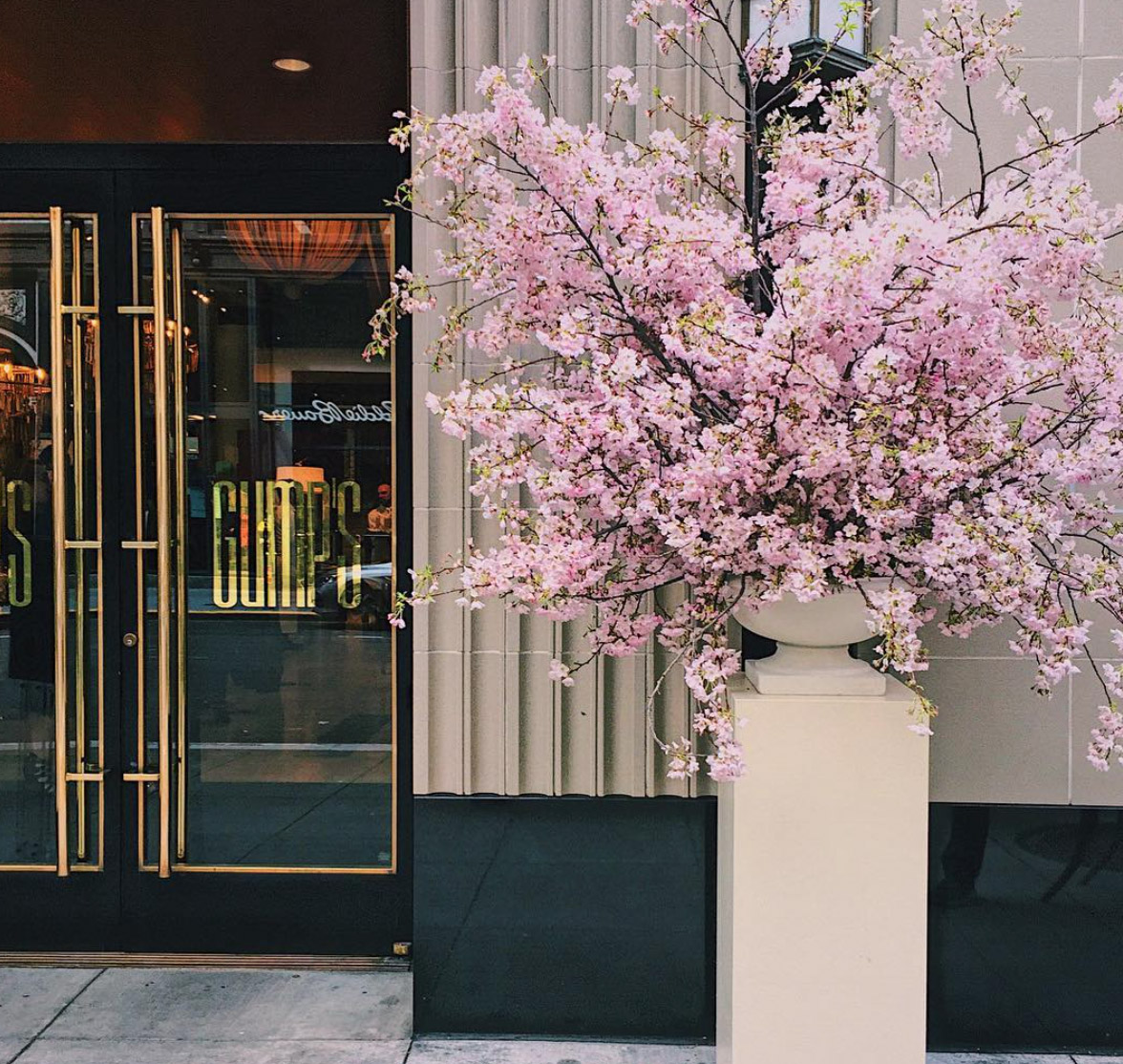 the style saloniste Exciting Design News The Great Luxury Style and