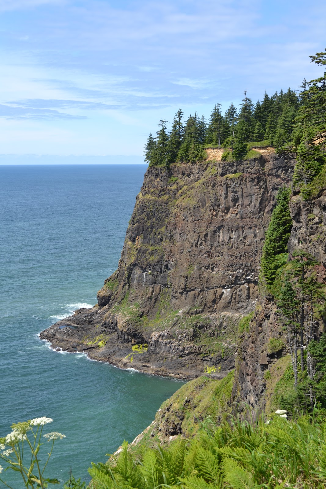 Blublogger: Road Trip - Corvallis, Eugene, and the Oregon Coast