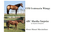 http://mirkopiazzifattrici.blogspot.it/