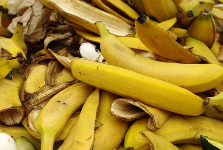 Ternyata, Kulit Pisang Mampu Menurunkan Kolesterol Ternyata, Kulit Pisang Mampu Menurunkan Kolesterol