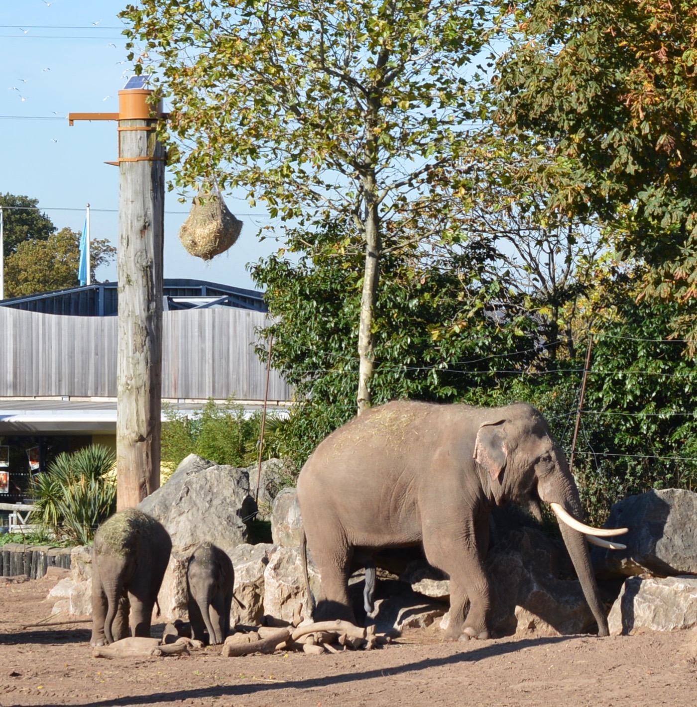 trip chester zoo