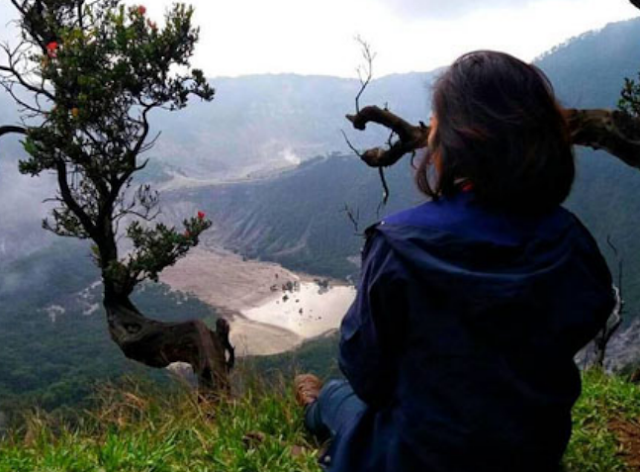 wisata tangkuban perahu wisata tangkuban perahu, puncak kawah upas