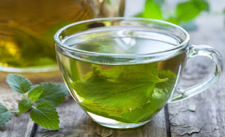 teh hijau manfaat teh hijau untuk kesehatan