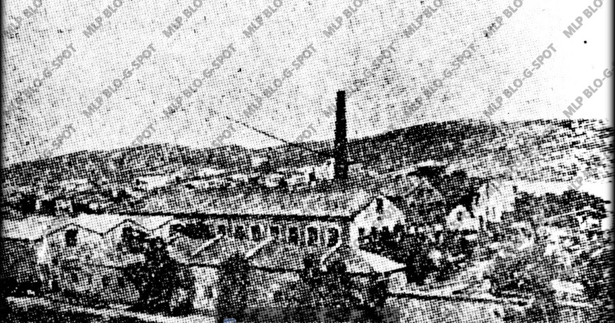 mlp-blo-g-spot.blogspot.com