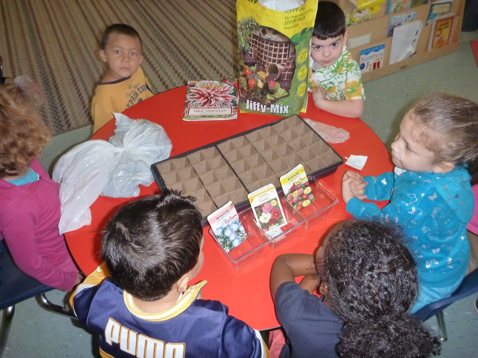 PLAY. EXPLORE. LEARN: Spring Inquiry