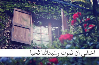 منشورات فيسبوك ، منشورات فيسبوك ، صور فيسبوك منشورات فيسبوك ، منشورات فيسبوك ، صور فيسبوك