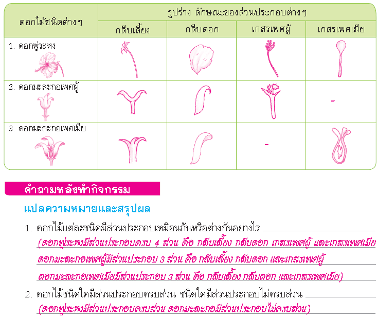 My Image 22