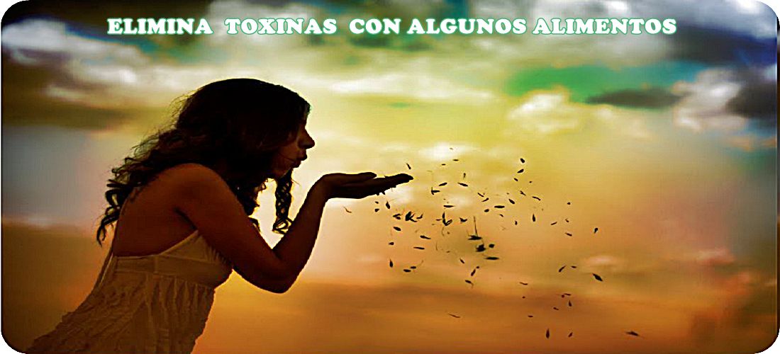 Alimentos que eliminan toxinas del cuerpo toxinas-eliminar