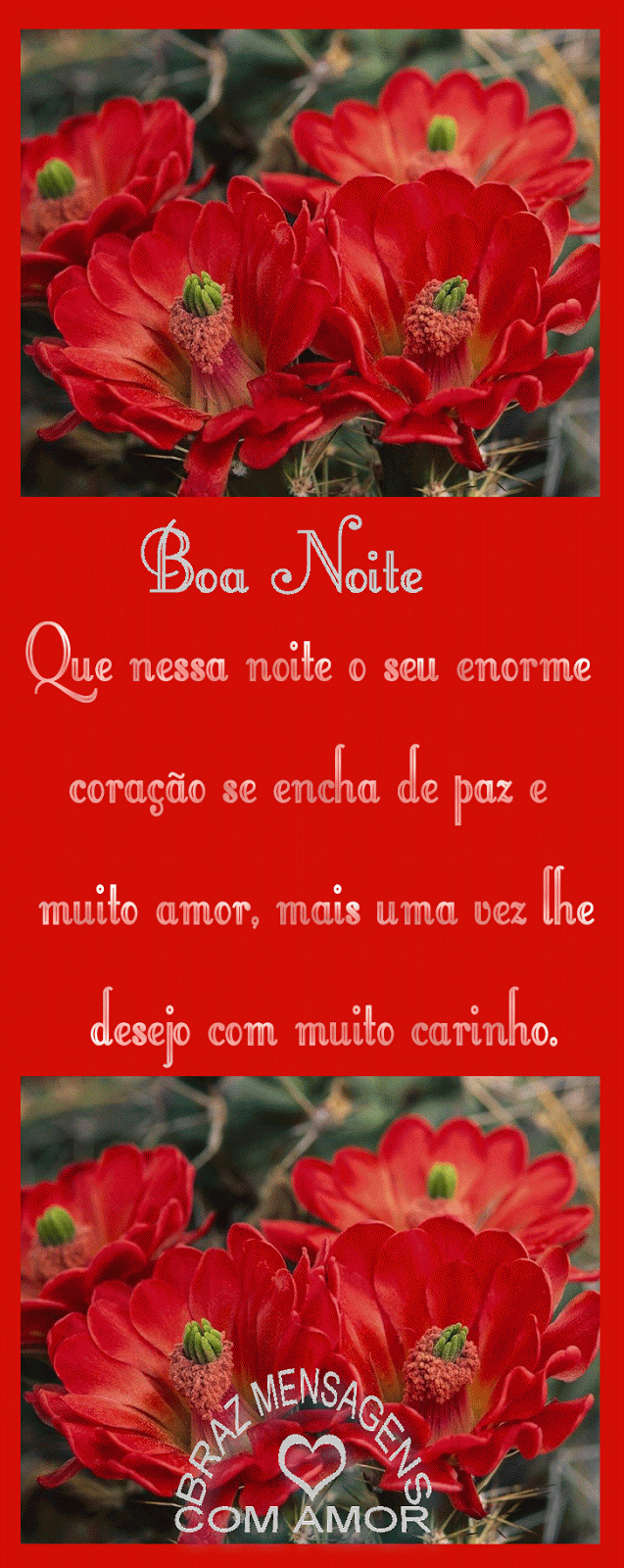 amor.gif