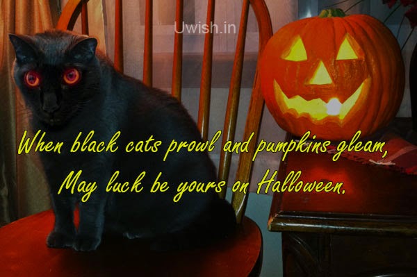 Happy Halloween e greeting cards and wishes with lighten pumpkin and black cat.