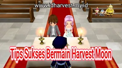 Tips Sukses Bermain Harvest Moon Seri Apapun