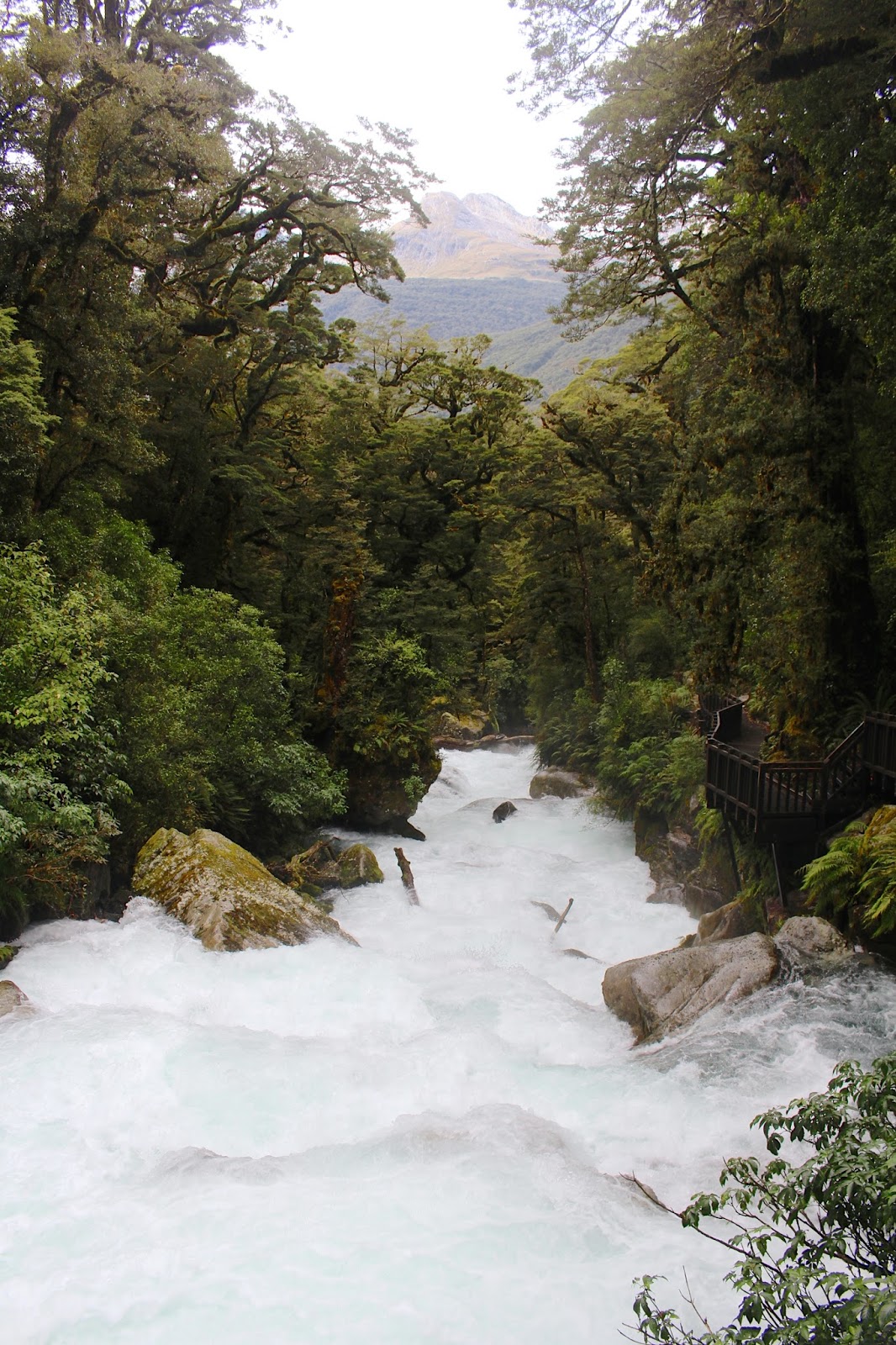 New Zealand's Best Hikes | Lake Marian