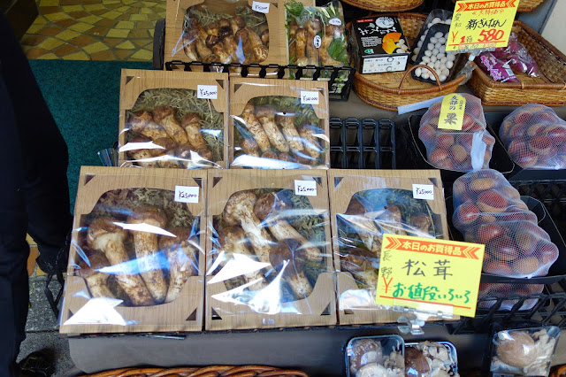 Tsukiji Fish market tokyo matsutake pine mushroom