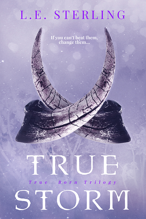 Lisa Loves Literature Blog Tour Review With Giveaway True Storm True