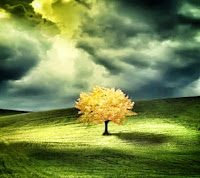 How to Get a Dementia Patient to Do What You Want Them to Do I learned that new problems crop up all the time as dementia patients move through the stages of Alzheimer's.