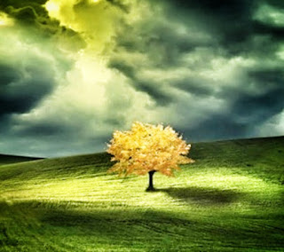 How to Get a Dementia Patient to Do What You Want Them to Do I learned that new problems crop up all the time as dementia patients move through the stages of Alzheimer's.