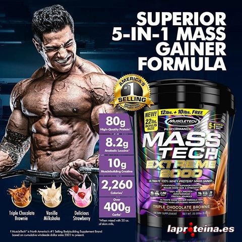 diferencia entre proteina y ganador de masa muscular