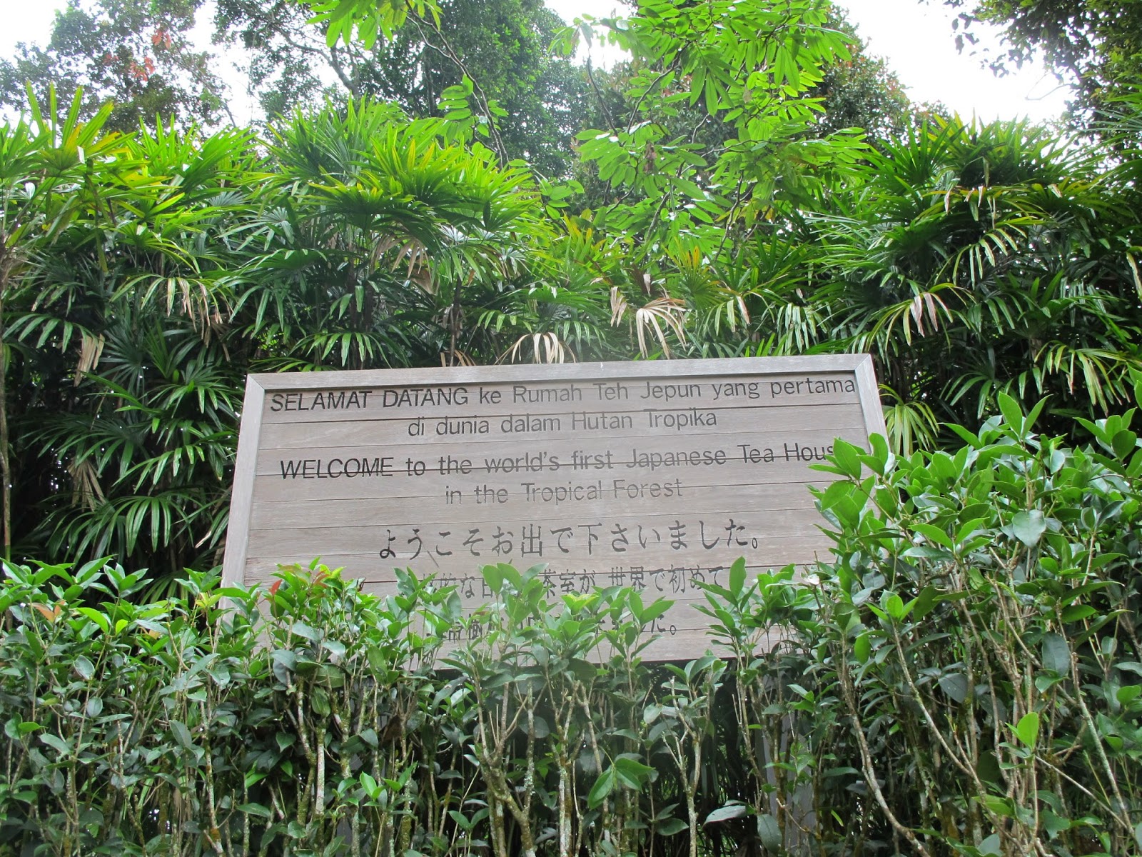 Botanical Garden and Japanese Tea House at Berjaya Hills, Bukit Tinggi