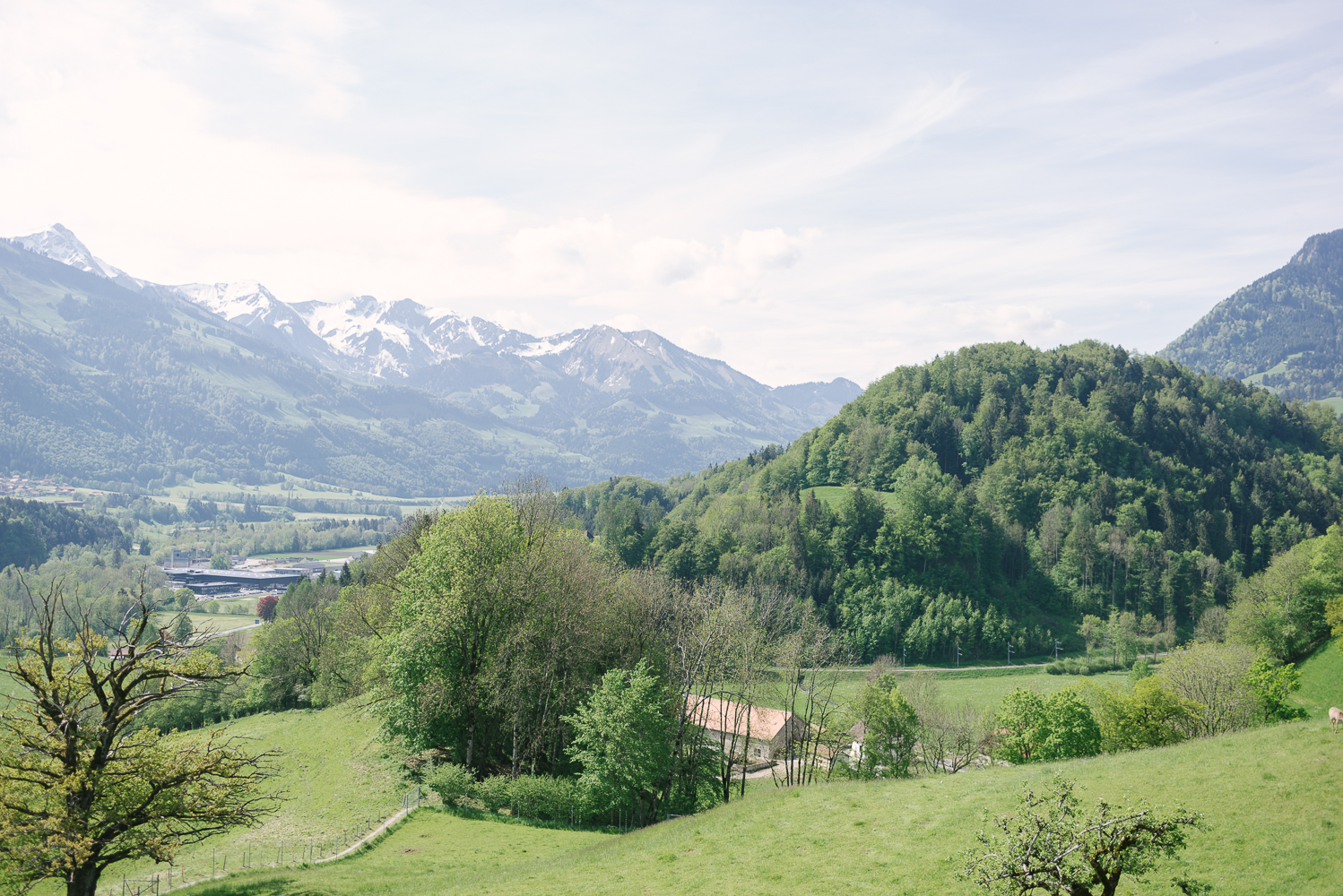 Beautyosuaurs Lex-Alex Good-Lifestyle Blog-Travel-Gruyere-Switzerland-AlexGoodTravels-Spring Beautyosuaurs Lex-Alex Good-Lifestyle Blog-Travel-Gruyere-Switzerland-AlexGoodTravels-Spring