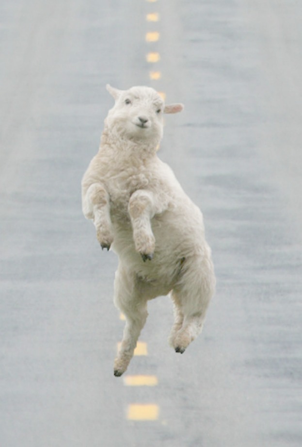 Adorable prancing woolly lamb hopping down street Easter decor inspiration