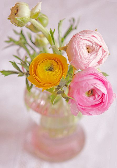flores-blog-decoração