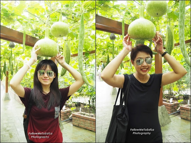 So Much Fun Posing With These Cute Melons