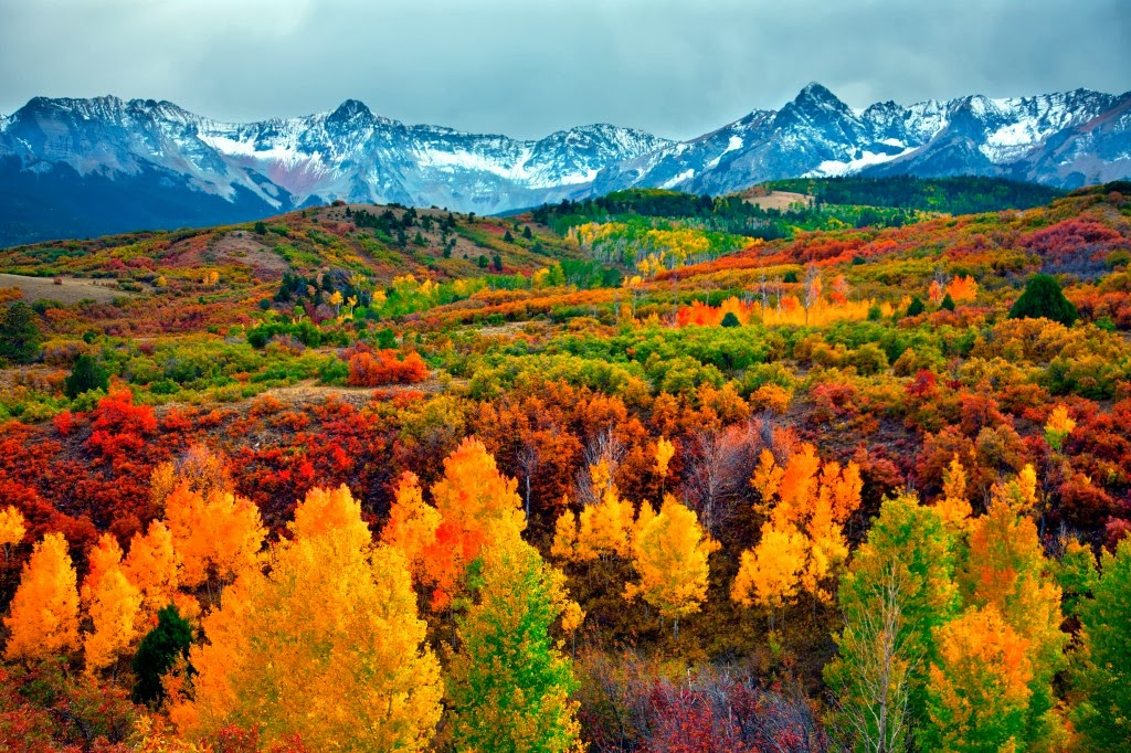 Critter Sitter's Blog More Fall Foliage in Colorado