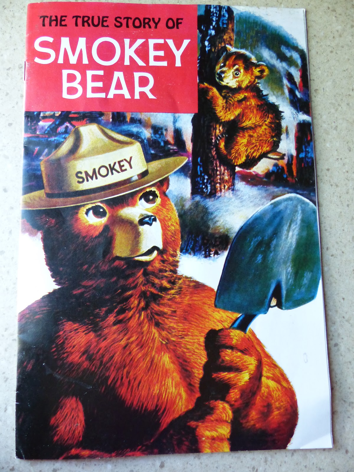 Land Cruising Adventure: Smokey Bear | Forest Fires