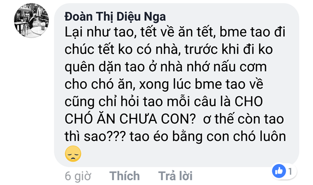 không bằng con chó, con mèo 4 không bằng con chó, con mèo 4