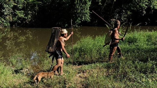 Dayak dan Hutan Adalah Kehidupan Dayak dan Hutan Adalah Kehidupan