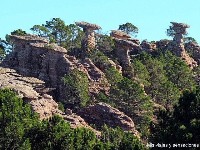 Las Corbeteras, un bosque de piedra en la Serranía de Cuenca