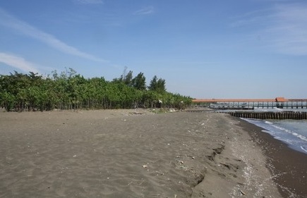 Pantai Purwahamba Indah Purin Terkenal Di Tegal Cinta Laut