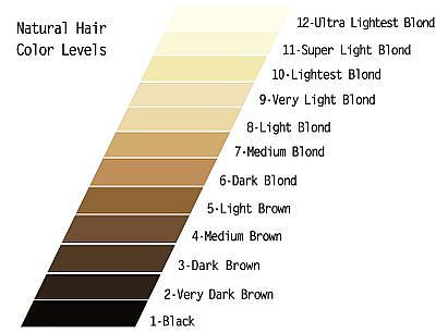 Hair Colour Level Chart