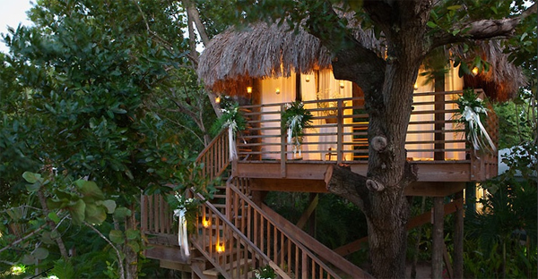 Romantic Tree House For Wedding Romantic Tree House For Wedding