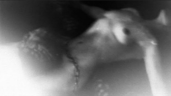 experimental film