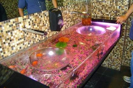 Peceras originales | Construccion y Manualidades : Hazlo tu mismo