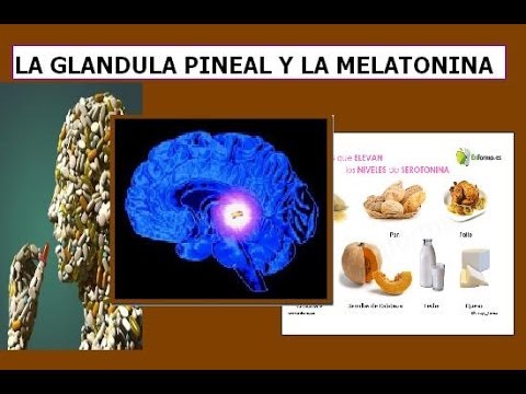 Contraindicaciones de la melatonina