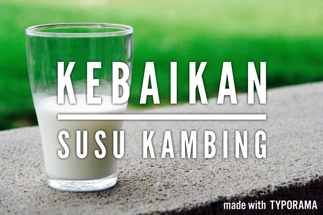 KEBAIKAN SUSU KAMBING Cherrybagmalaysia