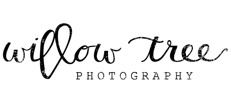 Willow Tree Photography