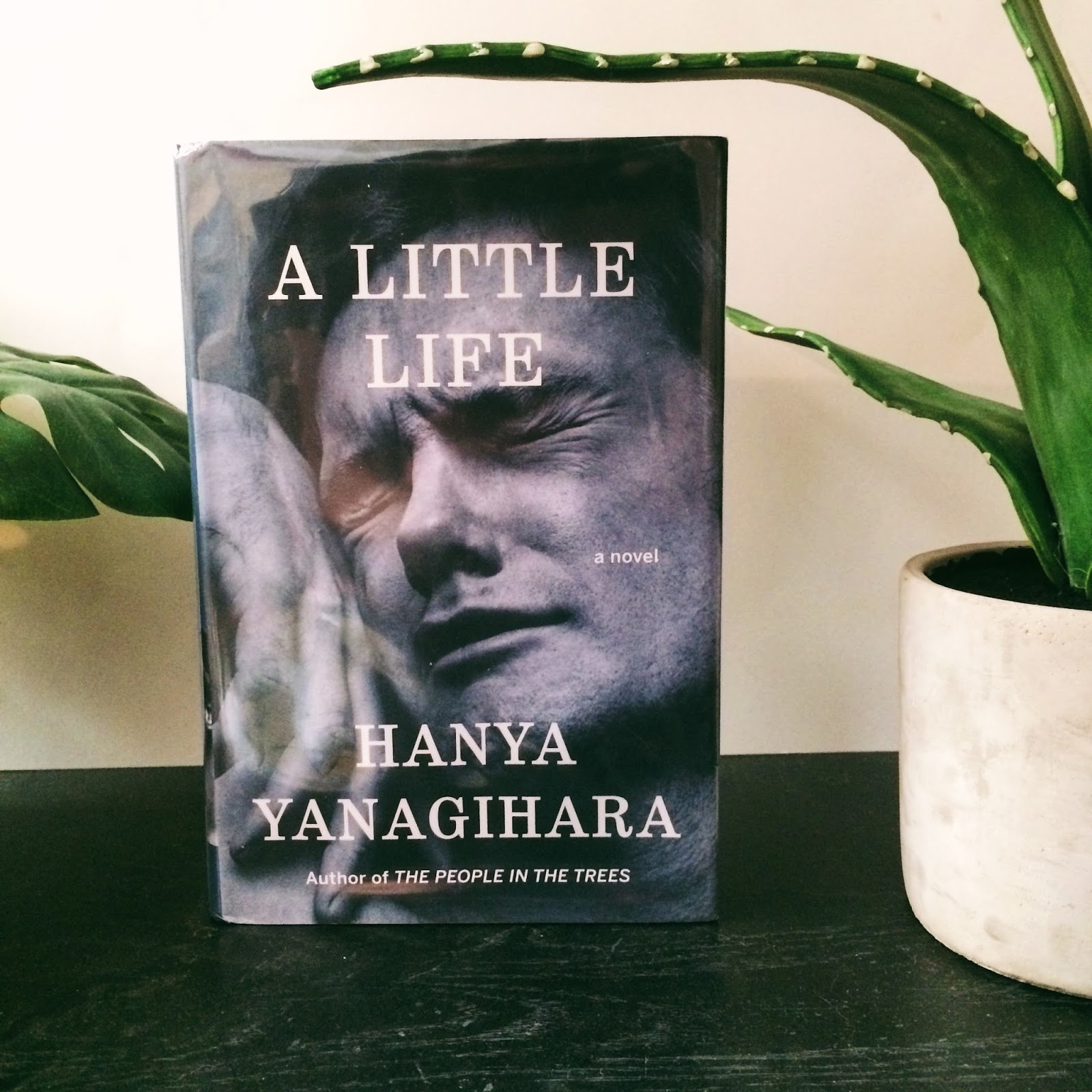 A little life книга