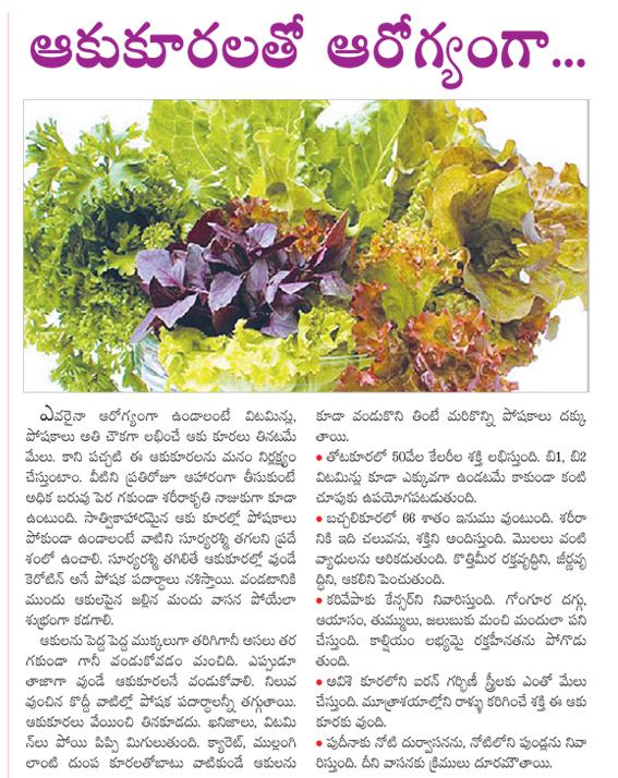 TELUGU WEB WORLD HEALTH BENEFITS WITH GREEN VEGETABLES THOTAKURA